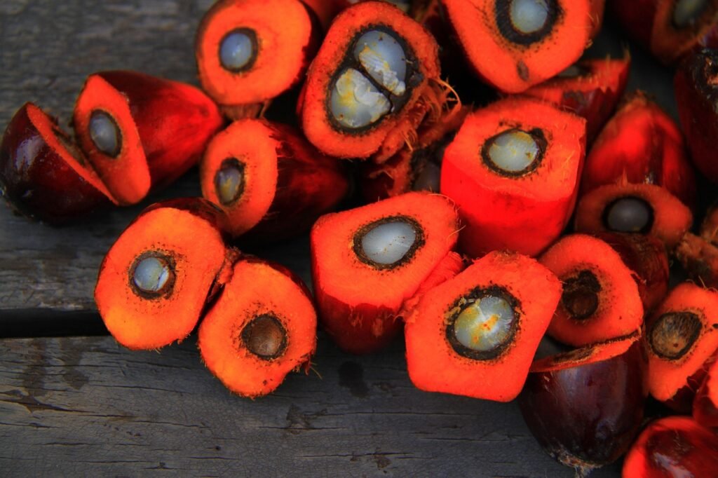 Products palm oil, oil, palm, agriculture, tropical, food, fruit, seed, industry, green, red, plantation, malaysia, raw, asia, tree, freshness, nature, nut, biodiesel, harvest, farm, resources, fresh, vegetable, crop, leaf, cooking, flora, energy, commodity, estate, rural, orange, cut, conservation, country, produce, growth, palm oil, palm oil, palm oil, palm oil, palm oil