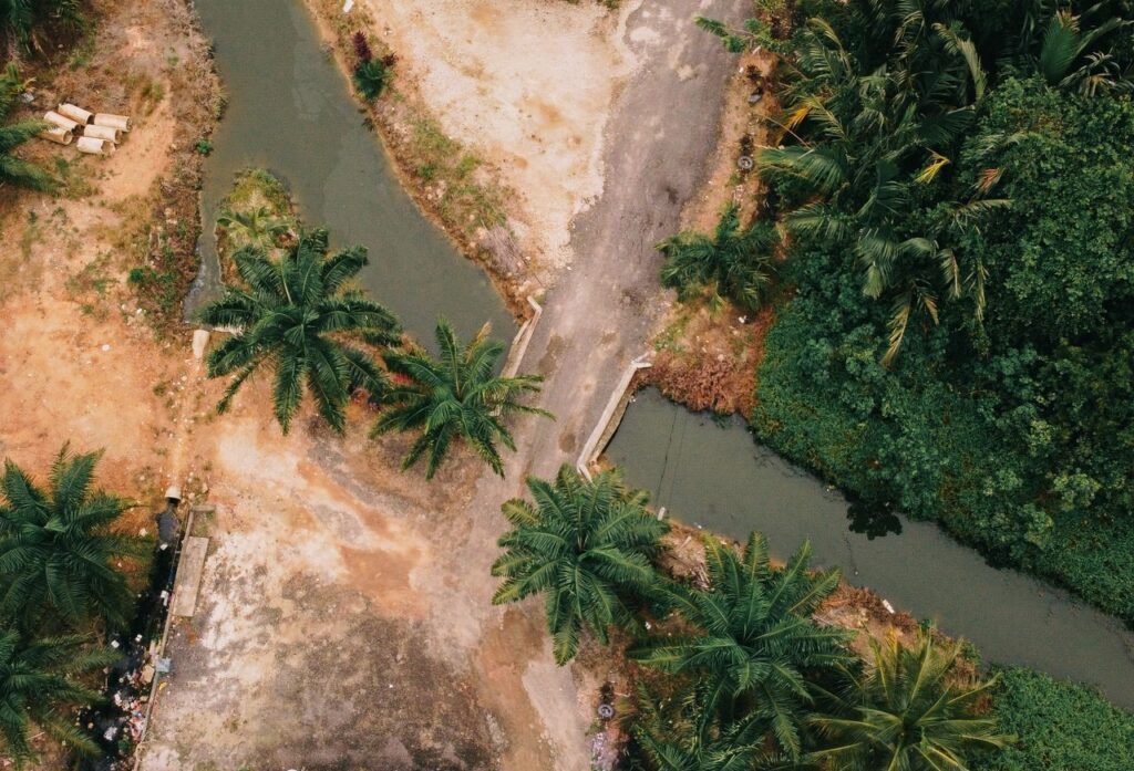Sustainability Aerial shot showing a tropical scene with a river, palm trees, and a small bridge, captured from above.