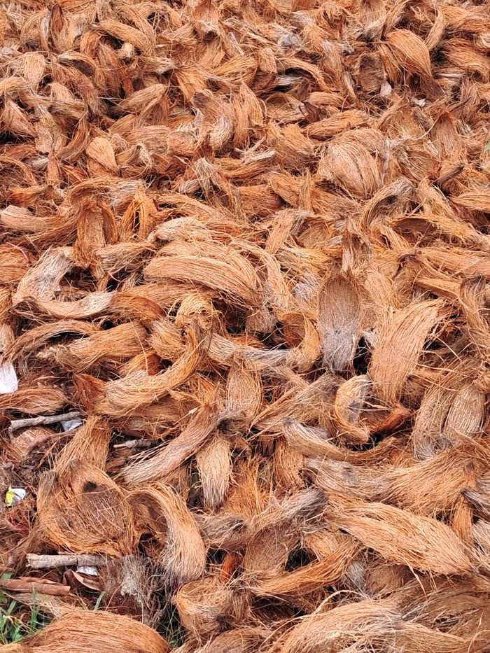 Palm Kernel Products Close-up view of natural, rough coconut coir fibers in a textured pile.