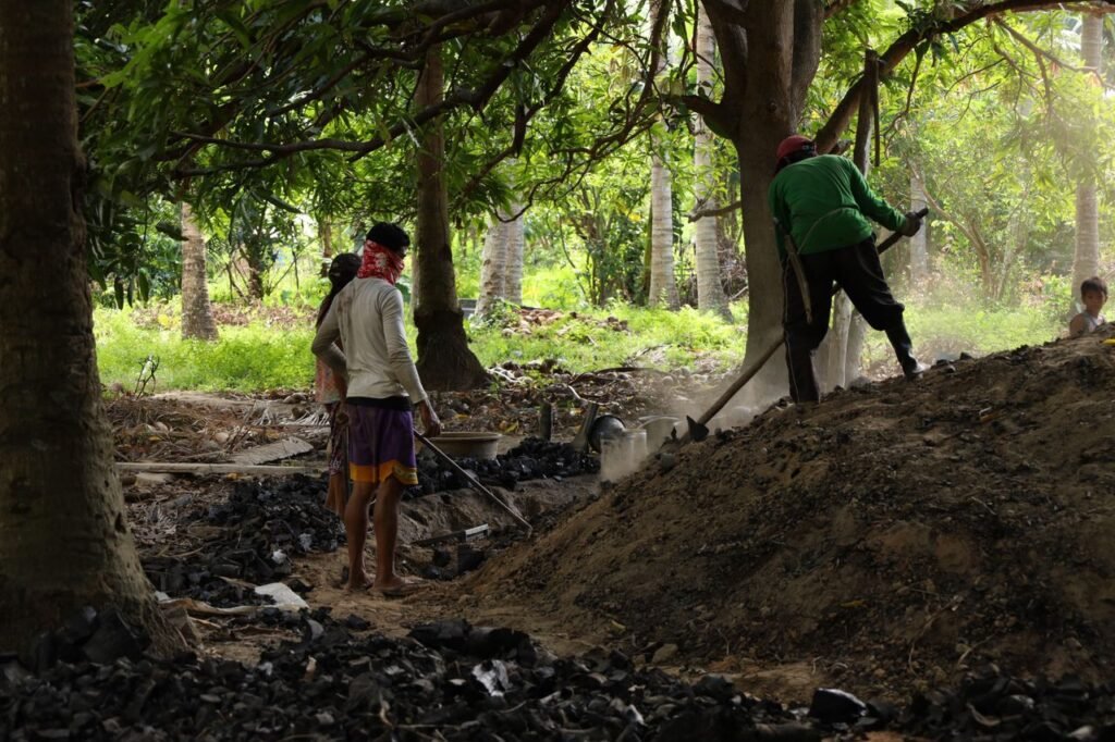 Palm Kernel Products Men crafting charcoal in a forested area of Puerto Galera, Philippines.