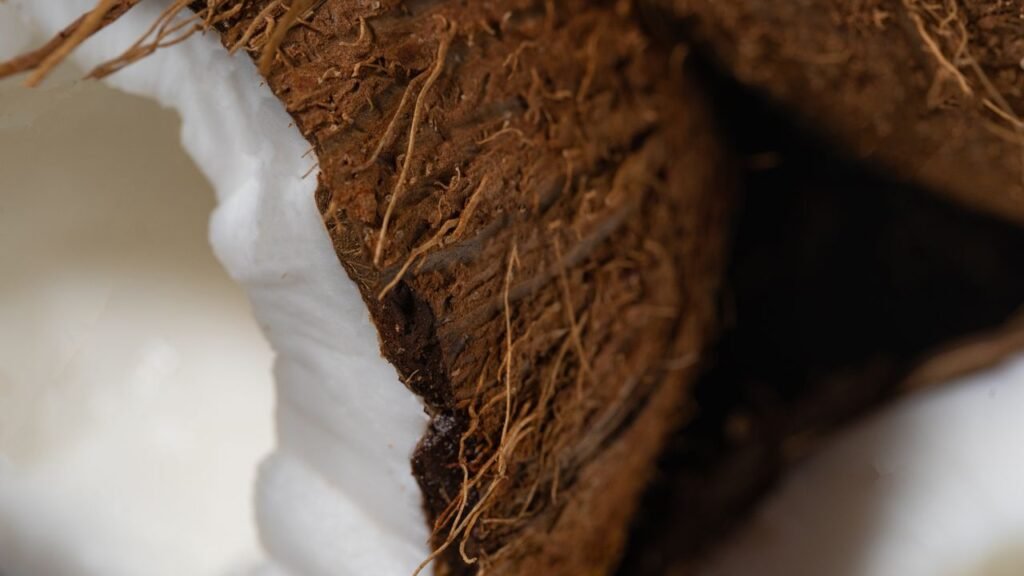 Palm-Derived Industrial Products Detailed view of fresh coconut shell with white flesh, highlighting texture.